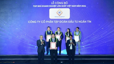 Ngan Tin Group ក្នុងសហគ្រាសធំជាងគេទាំង 500 នៅវៀតណាម