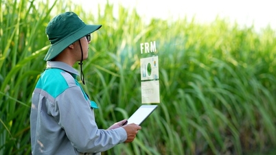 TTC AgriS được Fortune vinh danh top 500 doanh nghiệp lớn nhất Đông Nam Á