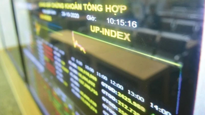 Reference price 2,600 VND/share SD6 and 1,500 VND/share DVG