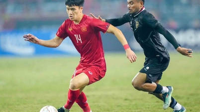 AFF Cup 2024, Vietnam team vs Indonesia: Must win!