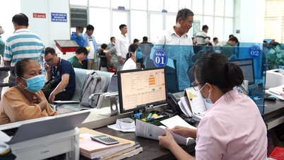Administrative procedure reform associated with digital transformation