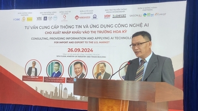Asistencia informativa para facilitar la penetración de las empresas vietnamitas en el mercado estadounidense.