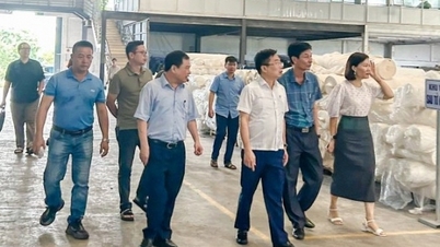 Tập đoàn dệt may Việt Nam chuẩn bị sản xuất đơn hàng vải chống cháy đầu tiên