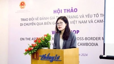 វាយតម្លៃស្ថានភាពបច្ចុប្បន្ន និងកត្តាជំរុញការធ្វើចំណាកស្រុកឆ្លងដែនរវាងវៀតណាម និងកម្ពុជា។