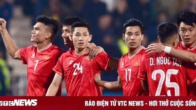 Thai newspaper praises Vietnam team as 'excellent'