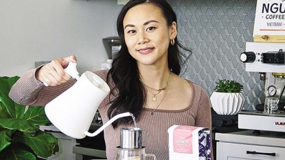 „Gerechtigkeit“ für vietnamesische Robusta-Kaffeebohnen wiederherstellen