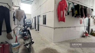Temporada de matrículas para bachillerato: los propietarios aún se quejan de habitaciones sin vender