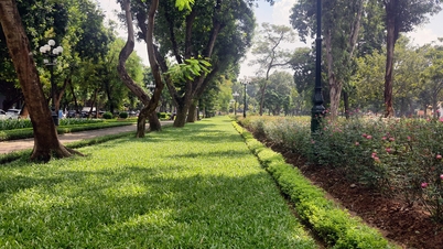 Remove all fences of Thong Nhat Park
