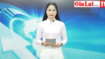 Gia Lai 24h: Gia Lai sẽ có thêm khoảng 150 dự án năng lượng tái tạo được đầu tư  | Báo Gia Lai điện tử