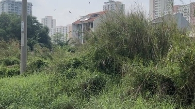 Hệ lụy còn kéo dài đến bao giờ?