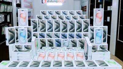iPhone 15 ចូល​ស្តុក​ពេញ​ប្រទេស​វៀតណាម ទិញ​មិន​បាច់​បង់​ប្រាក់​ភ្លាមៗ