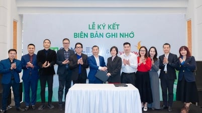 M Complex cooperates with Vincom Retail to deploy a one-stop interior solutions center