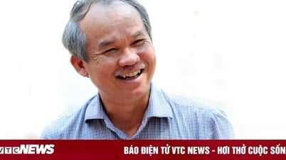 Giá heo xuống thấp, lợi nhuận Hoàng Anh Gia Lai chạm đáy