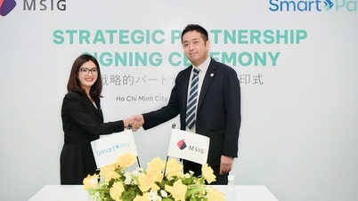 Bảo hiểm MSIG Việt Nam và SmartPay hợp tác chiến lược