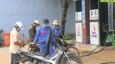Doanh nghiệp Đắk Nông được miễn, giảm thuế hơn 110 tỷ đồng