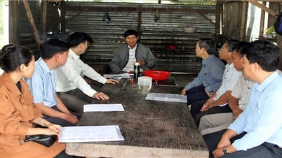 Ban Dân tộc tỉnh Ninh Thuận: Giám sát thực hiện Chương trình MTQG 1719 tại Công ty TNHH MTV Lâm nghiệp Ninh Sơn
