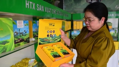 Sau 5 năm triển khai, tỉnh Phú Thọ có 237 sản phẩm OCOP