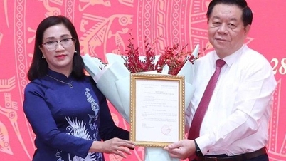 តើ​នរណា​ជា​អនុប្រធាន​នាយកដ្ឋាន​ឃោសនា​មជ្ឈិម​ទើប​តែងតាំង​ថ្មី?