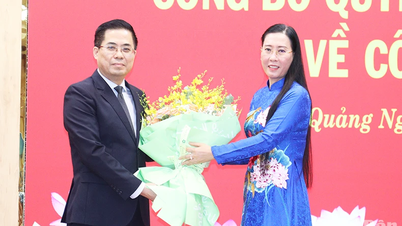 Comrade Nguyen Hoang Giang holds the position of Deputy Secretary of Quang Ngai Provincial Party Committee.