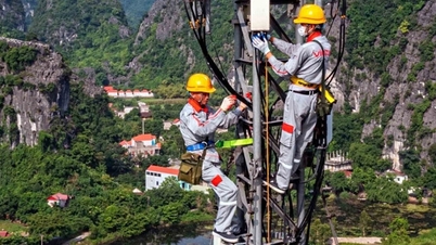 Ministry of Information and Communications auctions 3 frequency bands for 5G, lowest starting price 1,956 billion VND