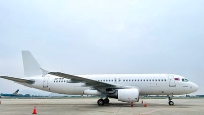 Bamboo Airways welcomes new aircraft right before Tet peak season