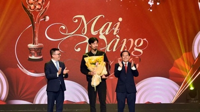 Ý kiến nghệ sĩ đoạt Giải Mai Vàng
