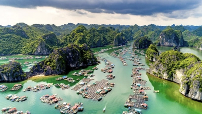 "Tại sao Việt Nam không trở thành bếp ăn của thế giới?"