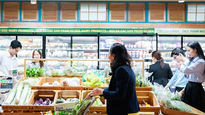 Mena Gourmet Market đưa nông sản Quảng Nam đến TP Hồ Chí Minh