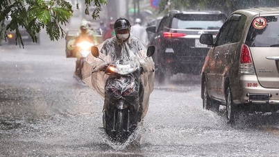 From the evening of November 13 to November 15, the Central region and the Eastern Central Highlands are likely to have heavy rain.
