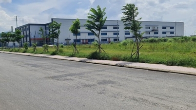 নাম দিন ২০২৩ সালের গৃহায়ন আইনের বেশ কয়েকটি ধারার বিস্তারিত বর্ণনা করেছেন