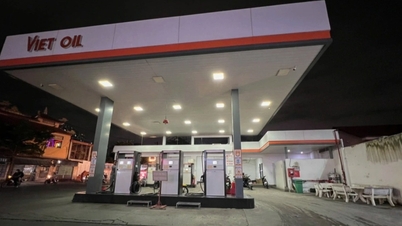 "Ông lớn" xăng dầu Xuyên Việt Oil nợ thuế hơn 1.500 tỷ đồng