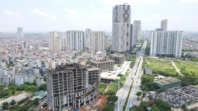 Tạm hoãn xuất cảnh với giám đốc Sông Đà Thăng Long