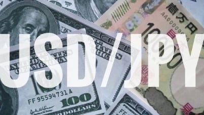 Tỷ giá USD, EUR, CAD, Yen Nhật, Bảng Anh, tỷ giá hối đoái... Lợi tức trái phiếu Mỹ tăng trở lại