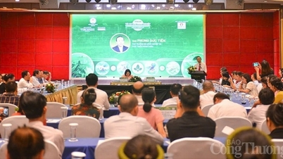 មានតែប្រហែល 13% នៃសហករណ៍ចូលរួមនៅក្នុងការភ្ជាប់ខ្សែសង្វាក់តម្លៃ។