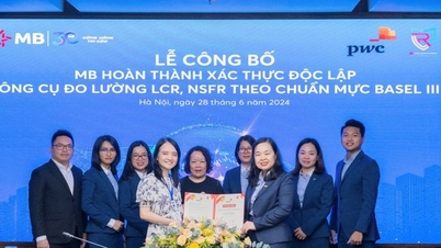 MB អនុវត្ត Basel III ក្នុងការគ្រប់គ្រងហានិភ័យសាច់ប្រាក់ងាយស្រួល