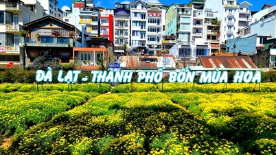 Đà Lạt rạng rỡ sắc hoa trong những ngày kỷ niệm 130 năm