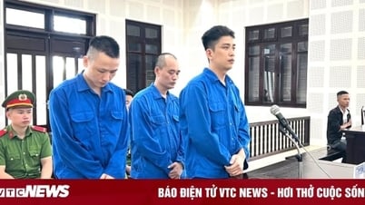 Xô xát trong quán bi-a, nam thanh niên lĩnh án tội giết người