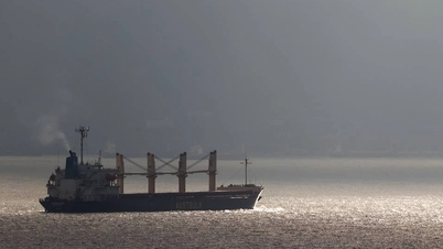 Houthi admits attacking 4 cargo ships