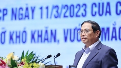 Khó khăn ở cấp nào thì cấp đó giải quyết