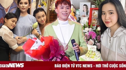 How are Ho Van Cuong and Phi Nhung's three adopted artistic daughters doing now?