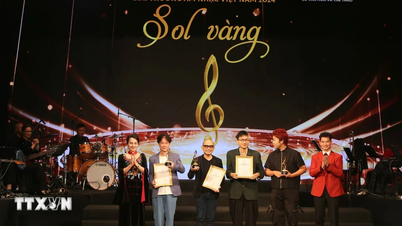 The first Vietnam Music Awards were presented in Hai Phong city.
