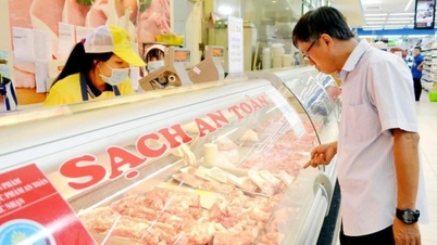 Giá heo hơi thấp nhất 55.000 đồng/kg, nguồn cung không có biến động lớn