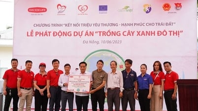 Dai-ichi Life Việt Nam phát động dự án 'Trồng cây xanh đô thị' tại Đà Nẵng