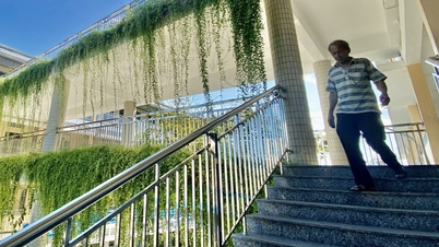 See eye-catching design schools in Da Nang