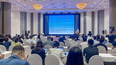 Thúc đẩy bảo vệ bản quyền hướng phát triển công nghiệp văn hóa bền vững