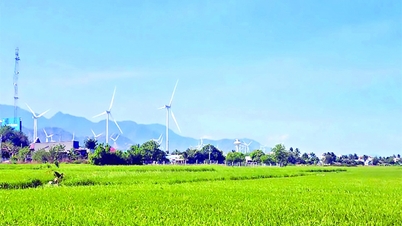 Ninh Thuan creates sustainable growth momentum