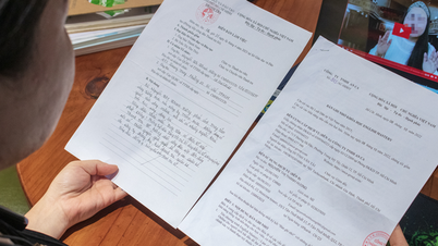 Learn English online, lose money because of 'zero' quality