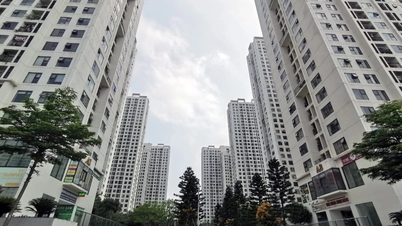 Apartment prices skyrocket, home buyers have a wait-and-see mentality