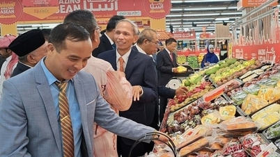 Vietnam Trade Office in Saudi Arabia "removes difficulties" for businesses exporting to the Middle East market