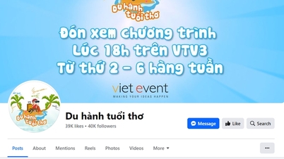 Giả mạo Đài Truyền hình Việt Nam để dụ dỗ chuyển tiền cho con tham gia chương trình truyền hình